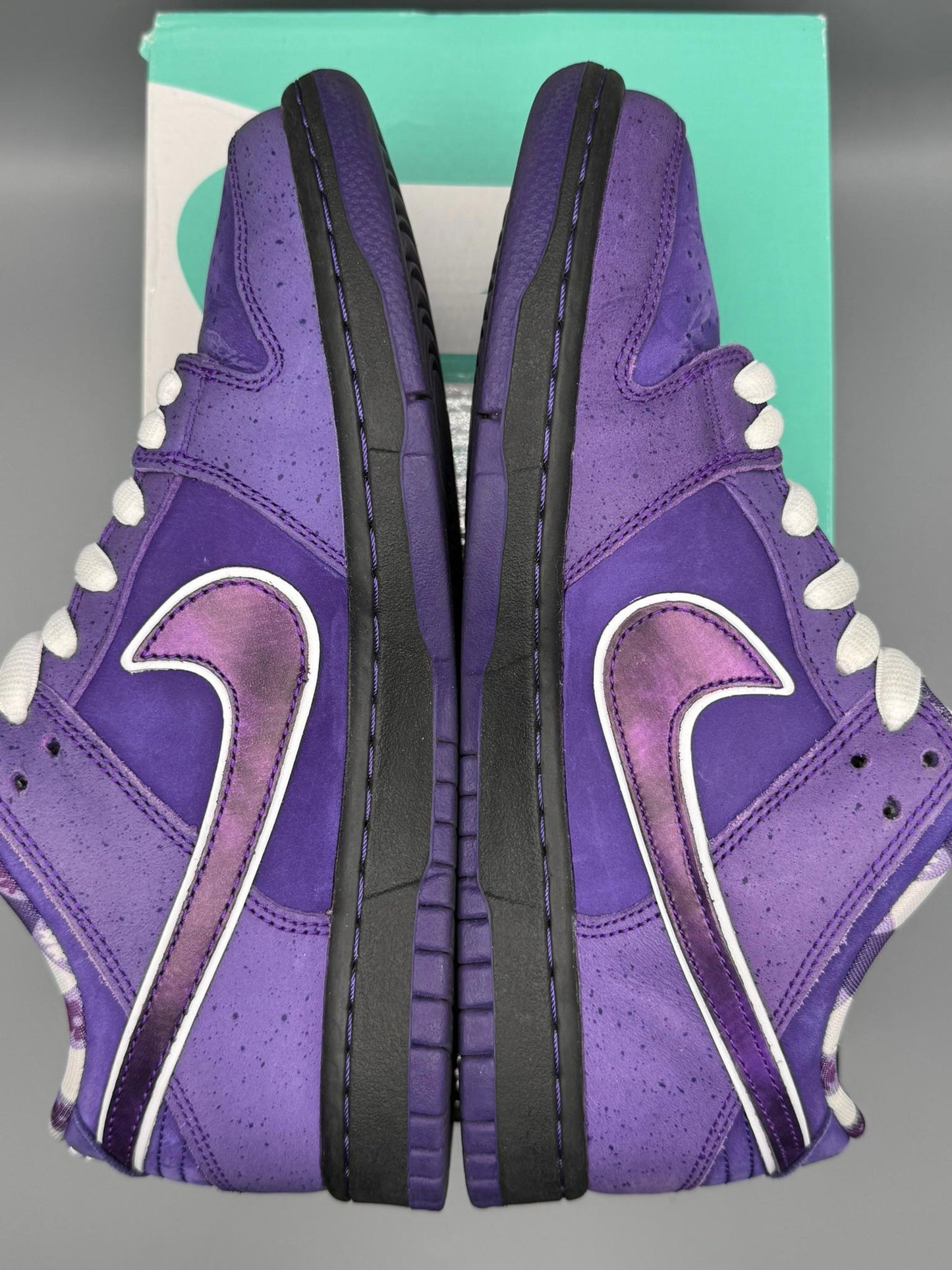 Size 7 SB Dunk Low Purple Lobster USED Very Good Condition AUTHENTIC