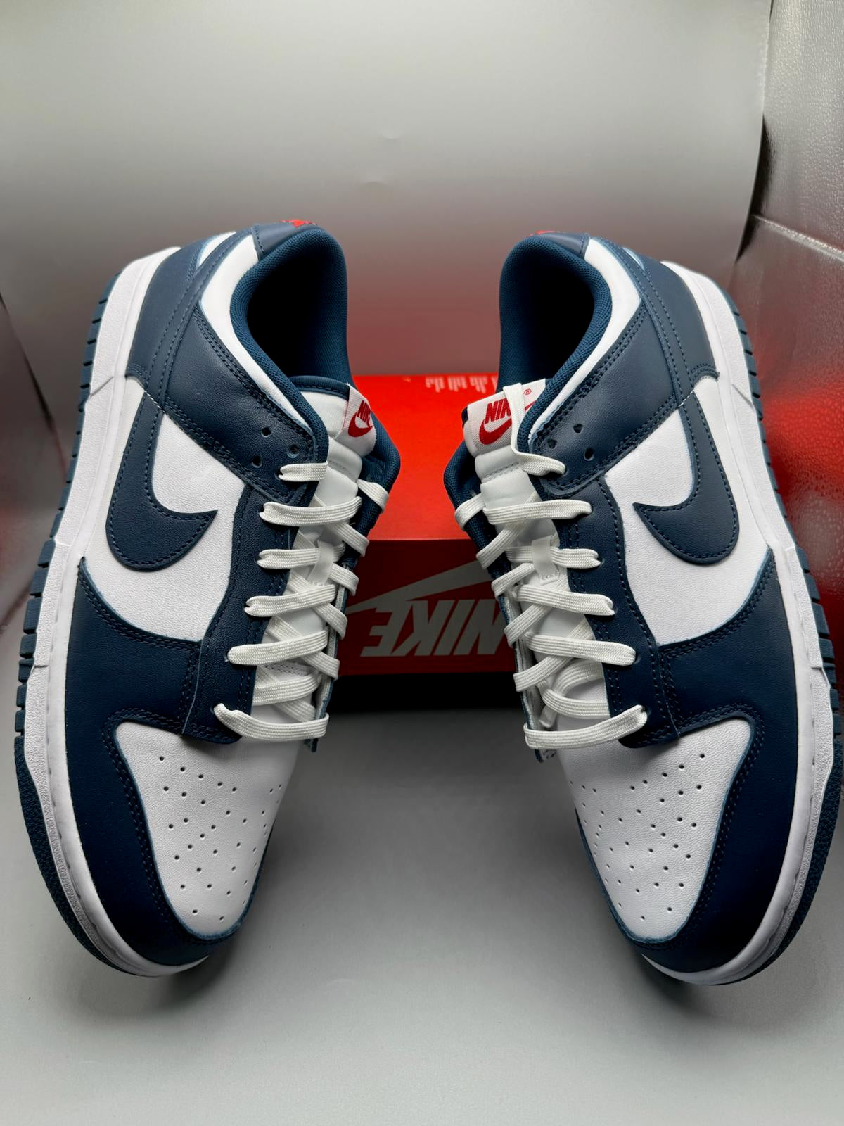 Size 12 Nike Dunk Low Valerian Blue OG DS