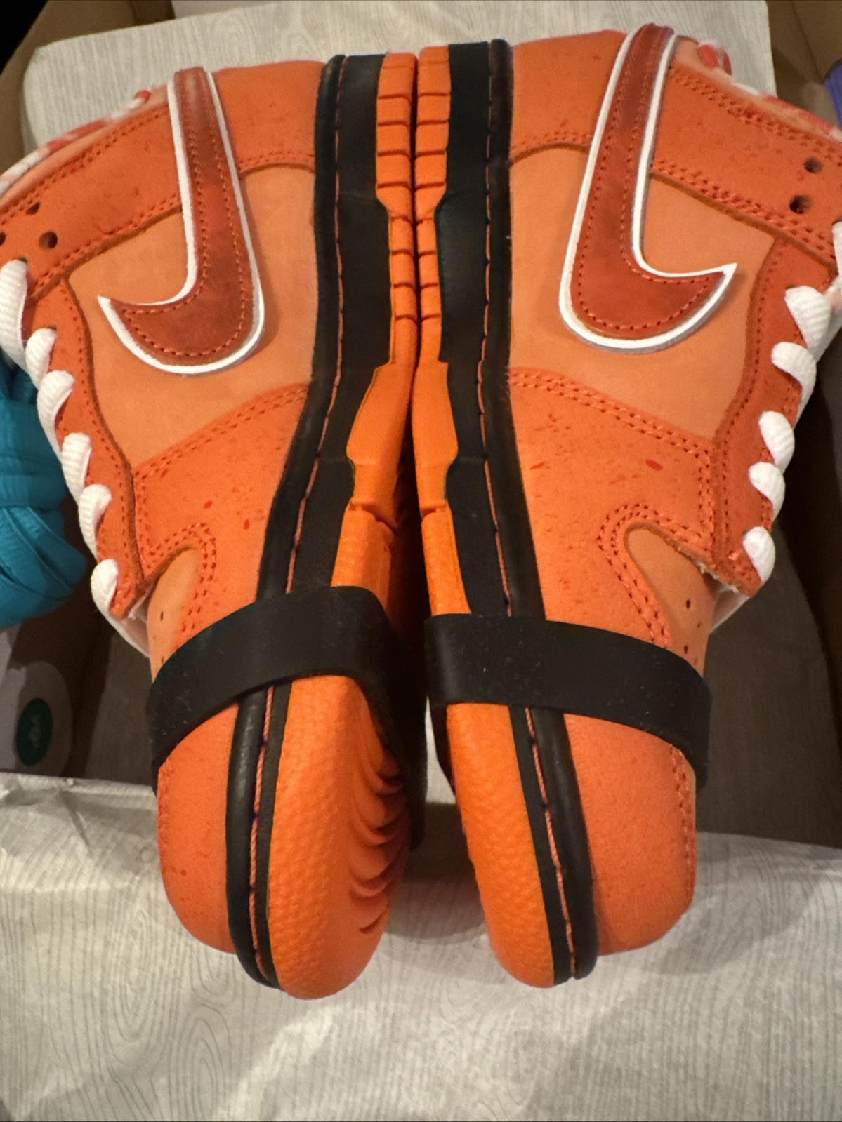 Nike SB Dunk Low Concepts Orange Lobster UK3.5 Brand New