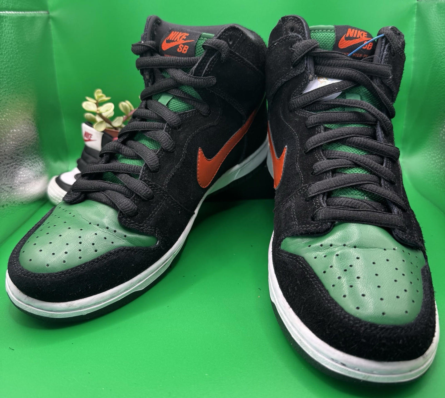 Size 7.5 SB Dunk Jägermeister Used OG Box