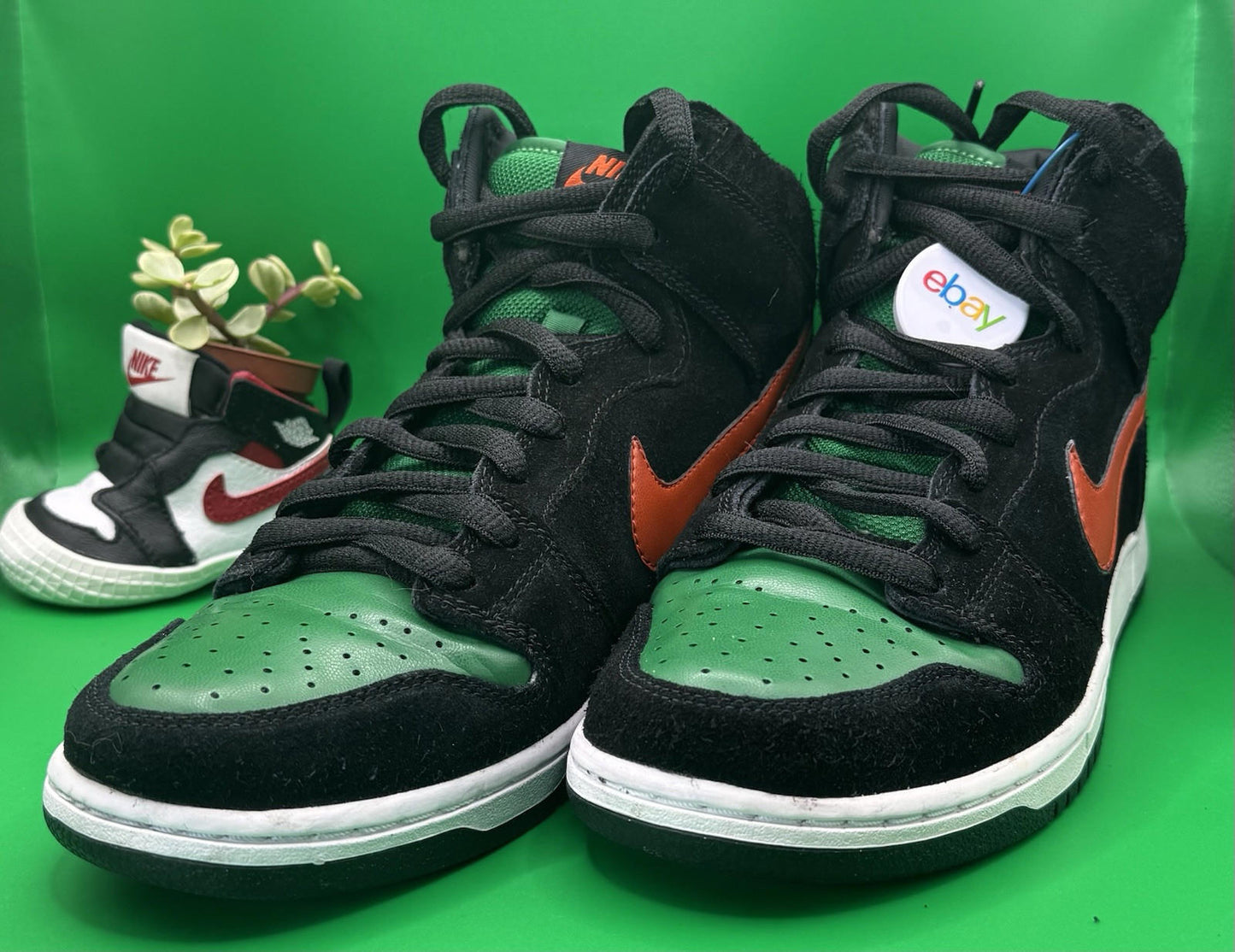 Size 7.5 SB Dunk Jägermeister Used OG Box