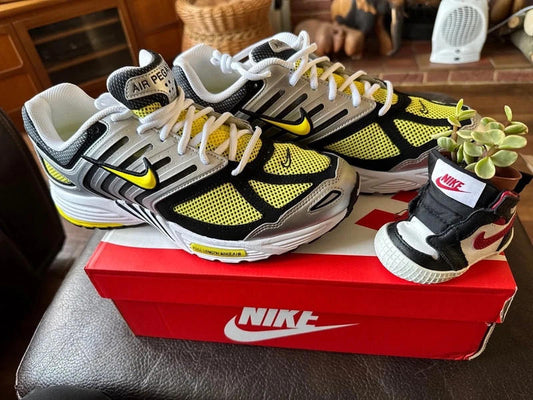 Nike Air Pegasus