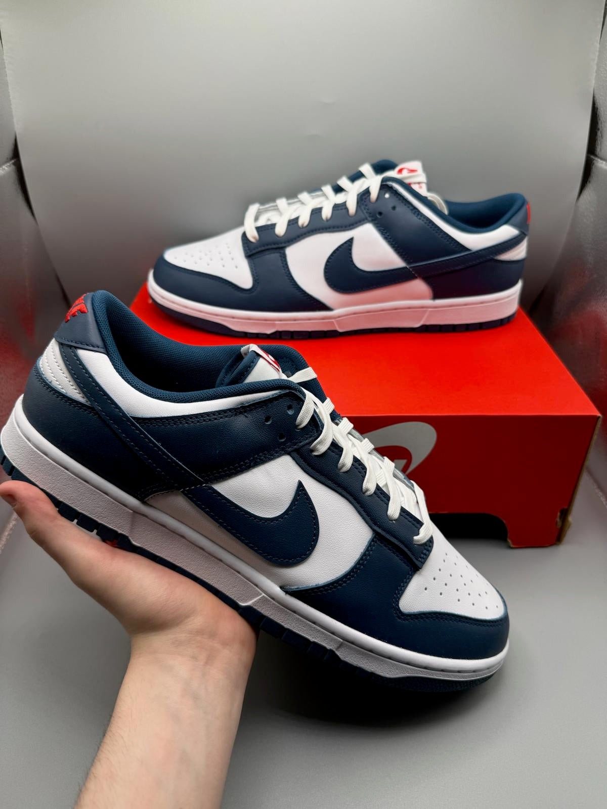 Size 12 Nike Dunk Low Valerian Blue OG DS