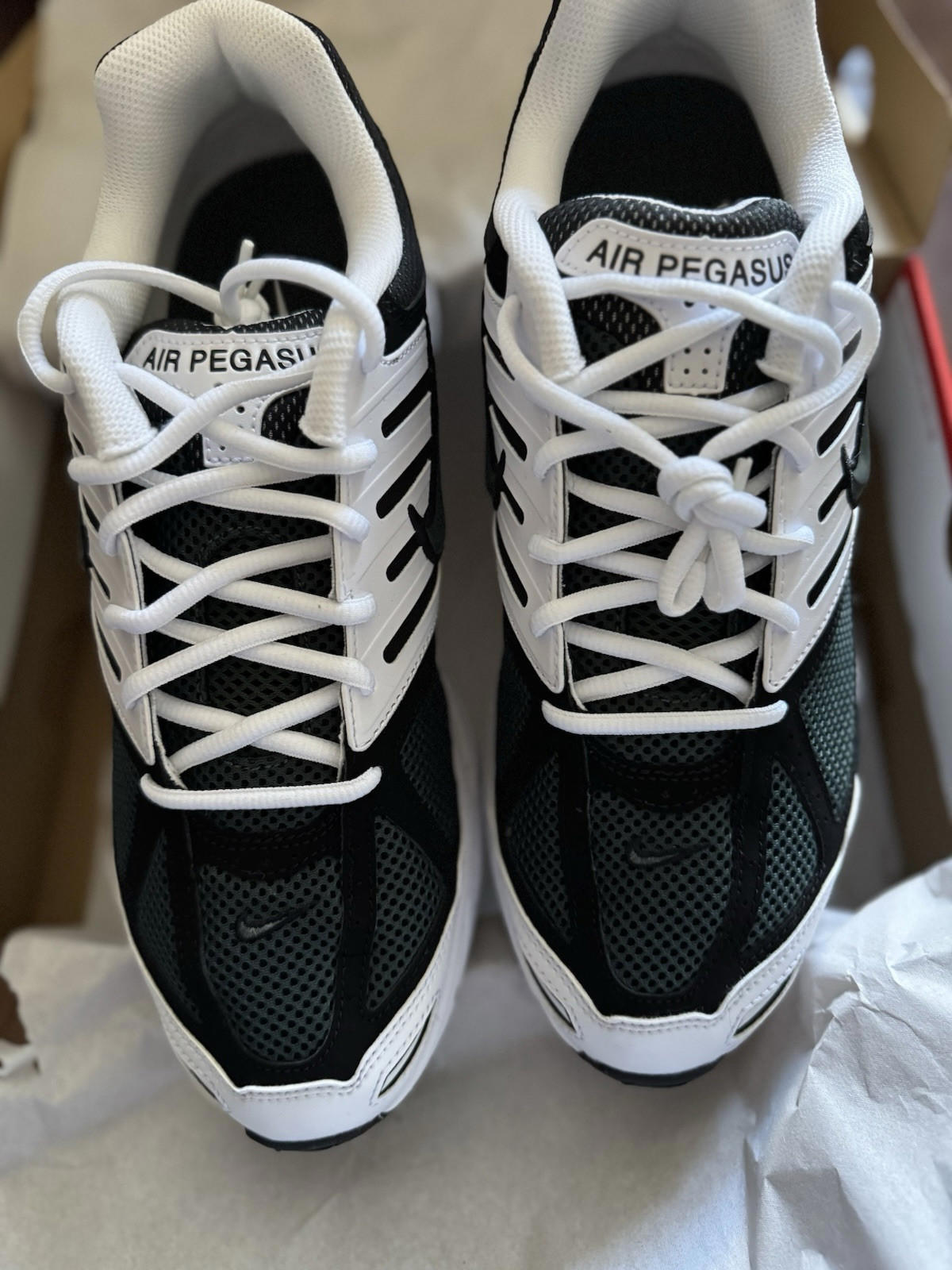 Size 10 Air Pegasus 2005 Metallic Silver Black
