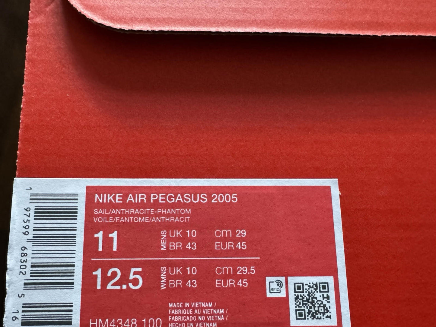 Size 10 Air Pegasus 2005 Metallic Silver Black